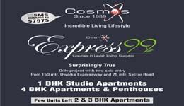 Cosmos Advertisment Full page 